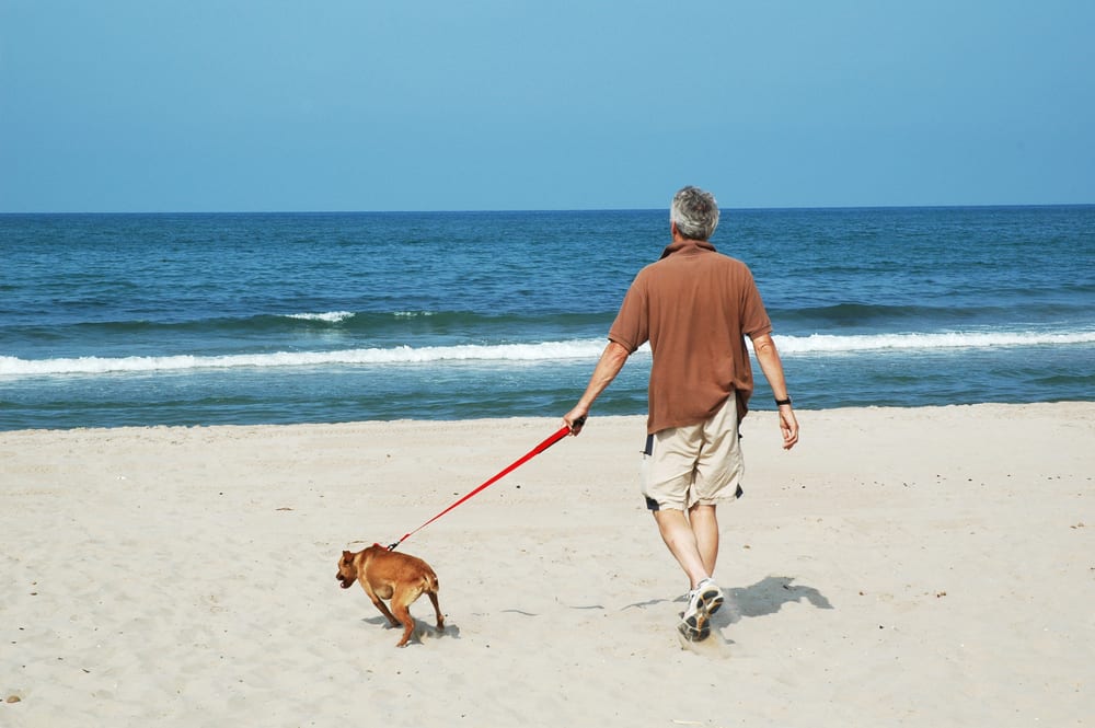 shutterstock_3401049