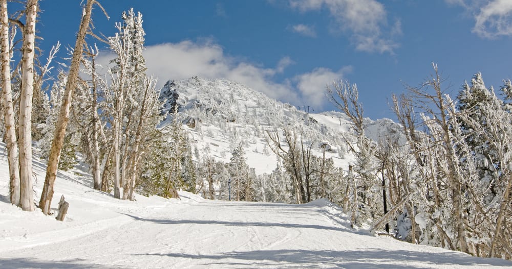 Aspen Skiing Acquires Mammoth Resorts