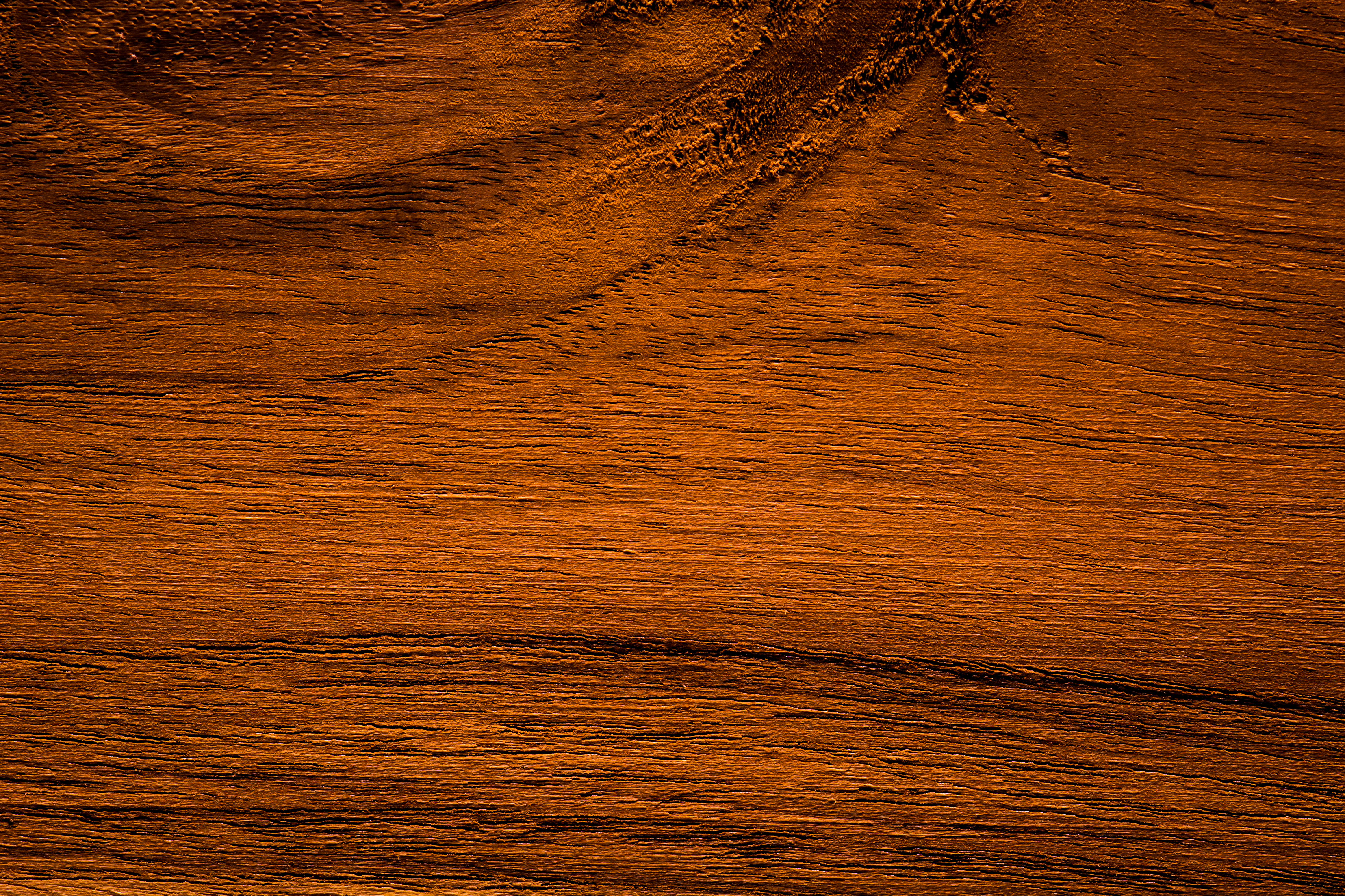 shutterstock_339183017