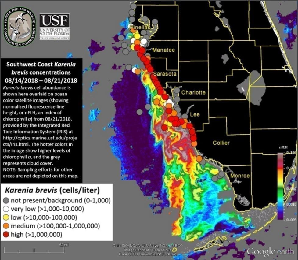 fwc red tide k brevis map