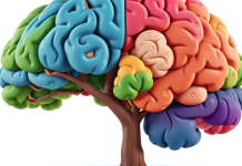 The Science of Why Tourists Don’t Care About Your Slogan